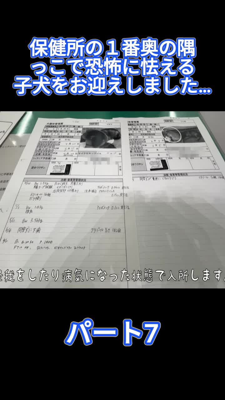 @ブルドッグぶるまるチャンネル Fan