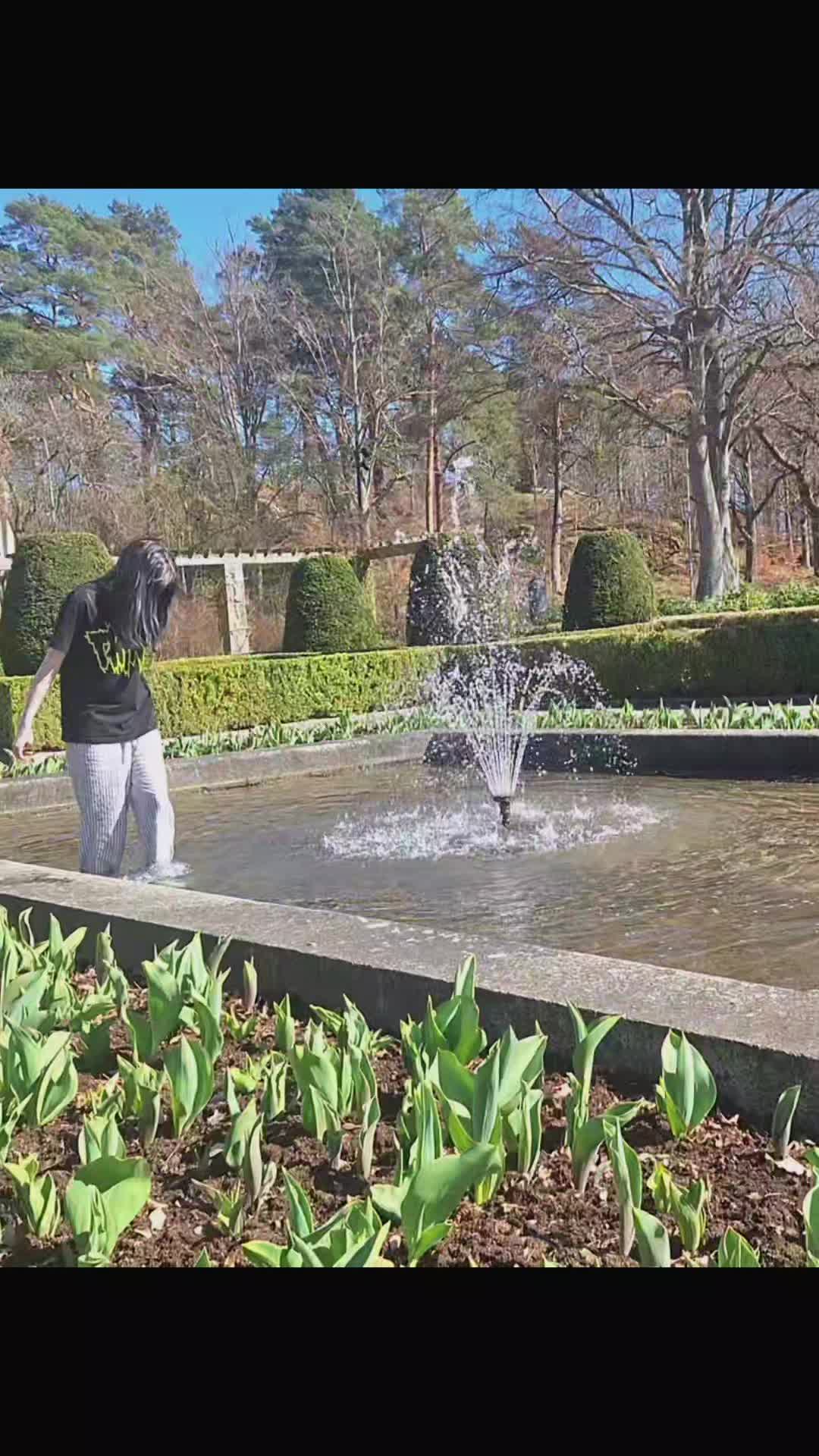 @.・✫・゜・。.