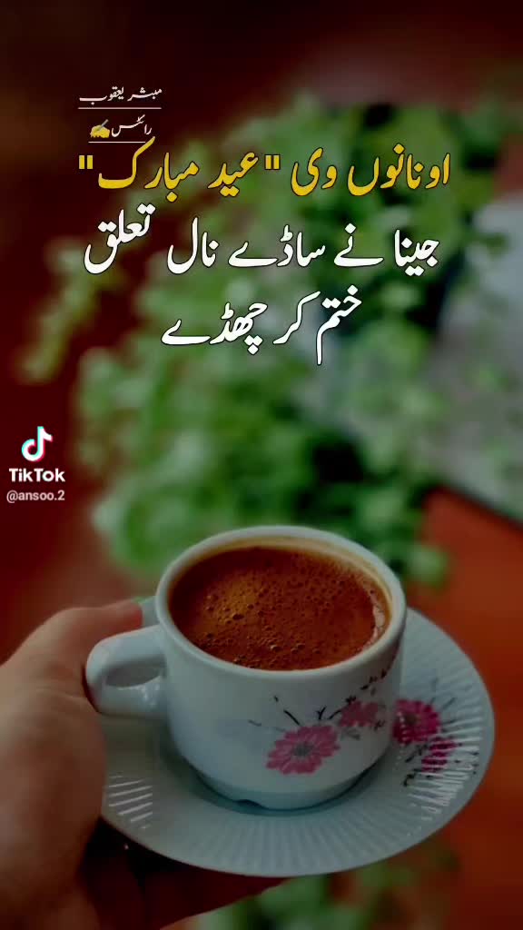 @Amir Choudhry