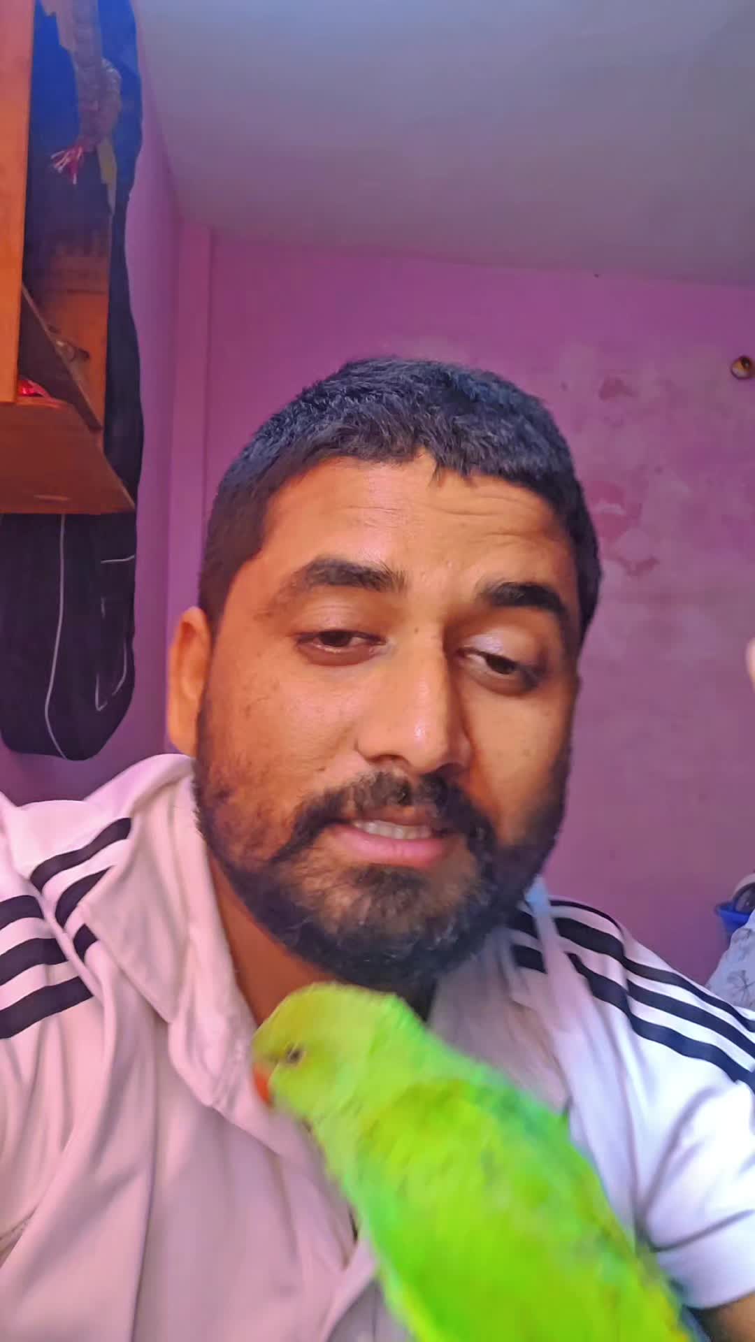 @Dipesh Sharma