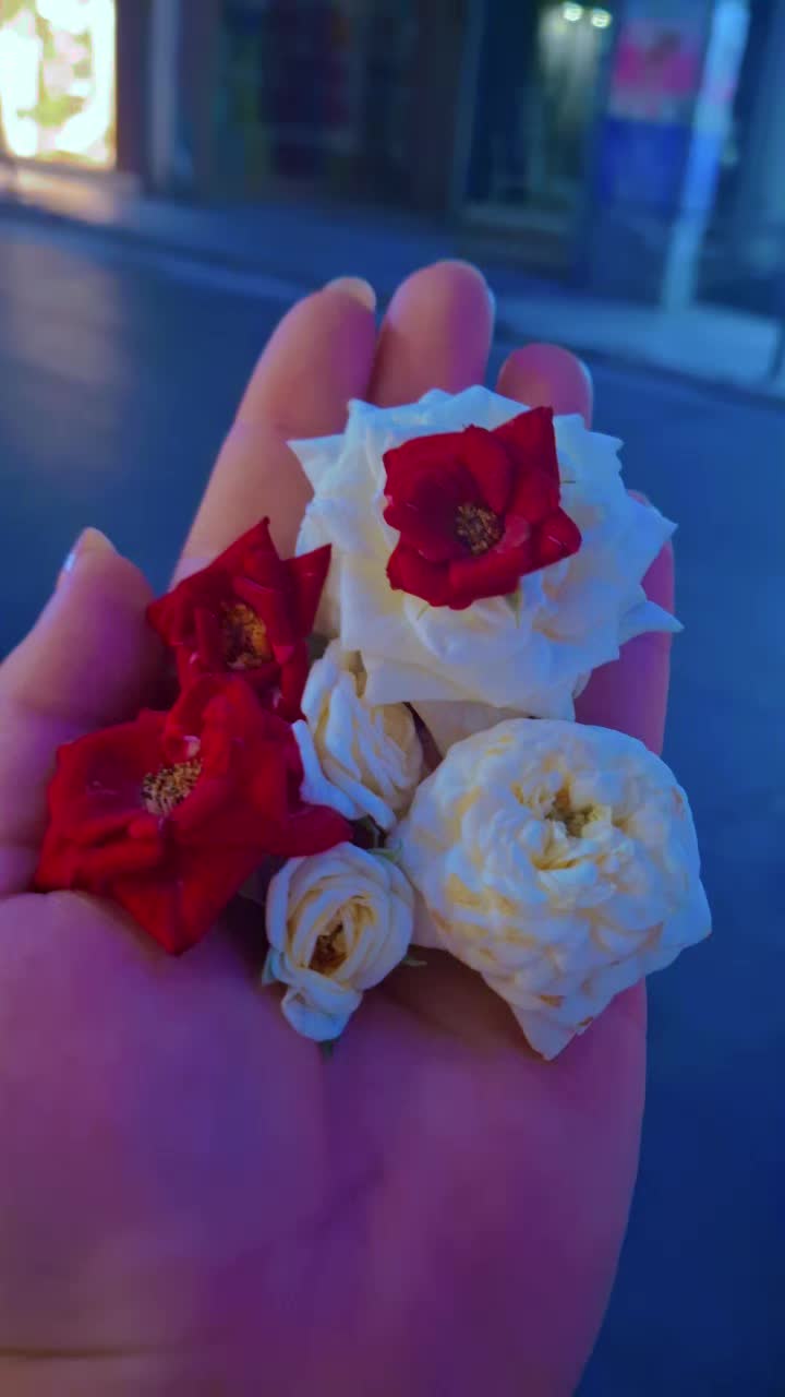 @❤️N❤️