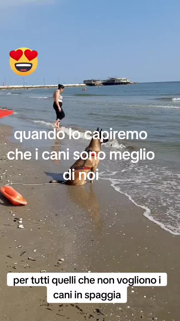 @lello