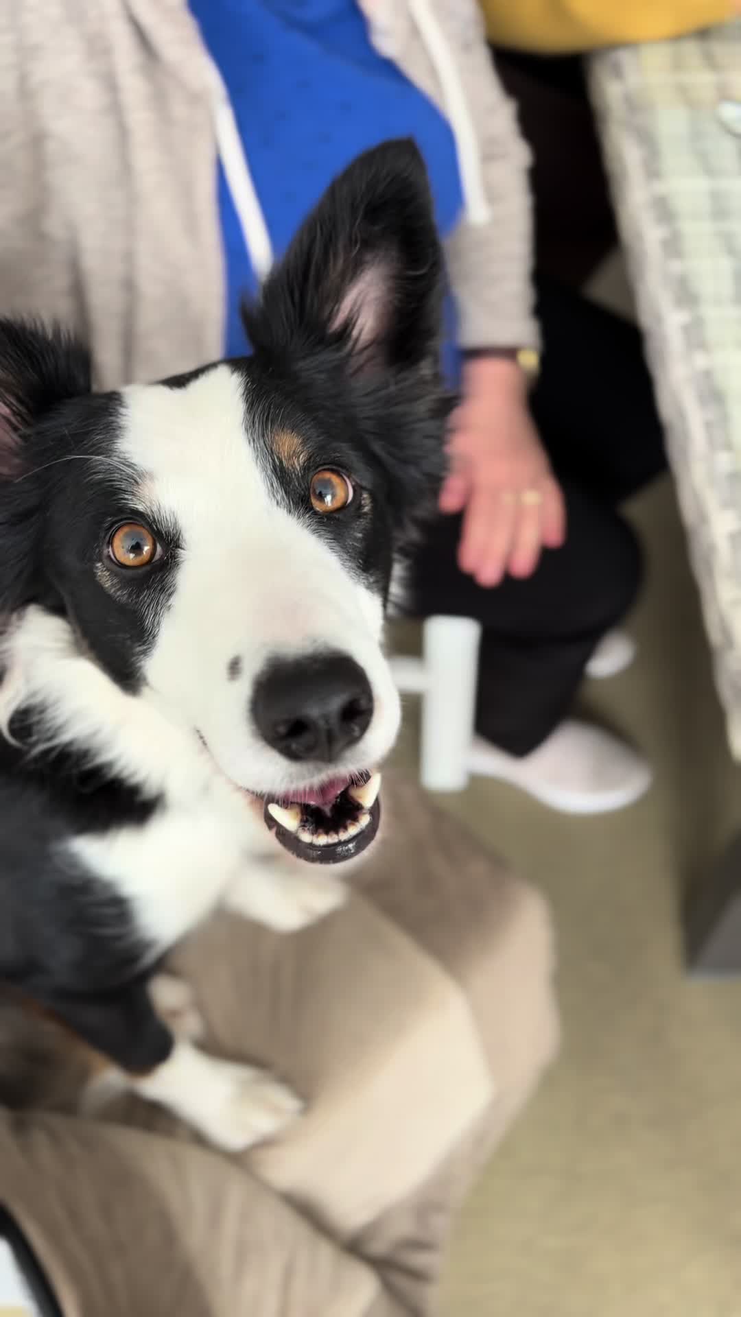 @zkopytaiłap