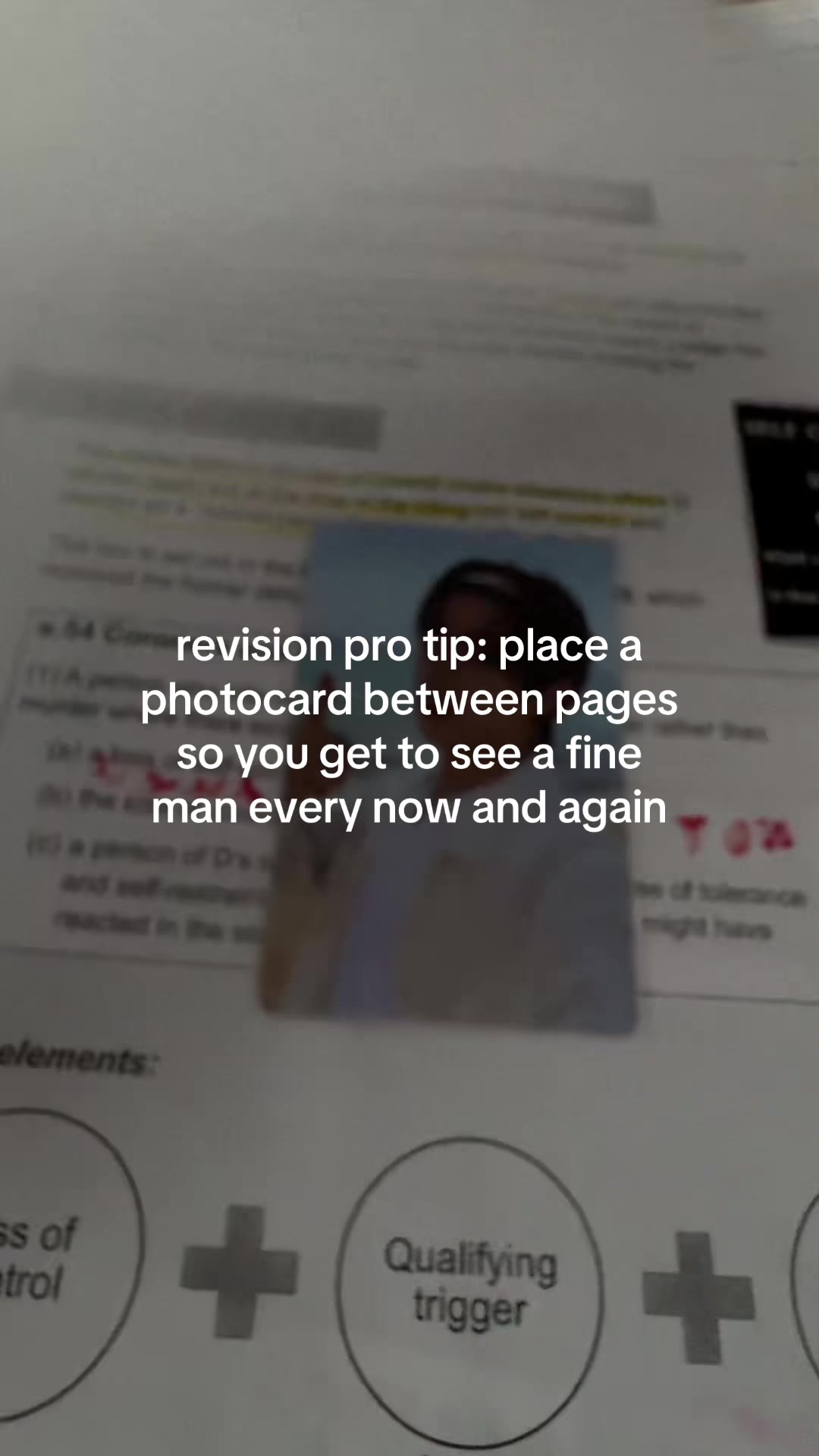 @gen ⋆˙⟡