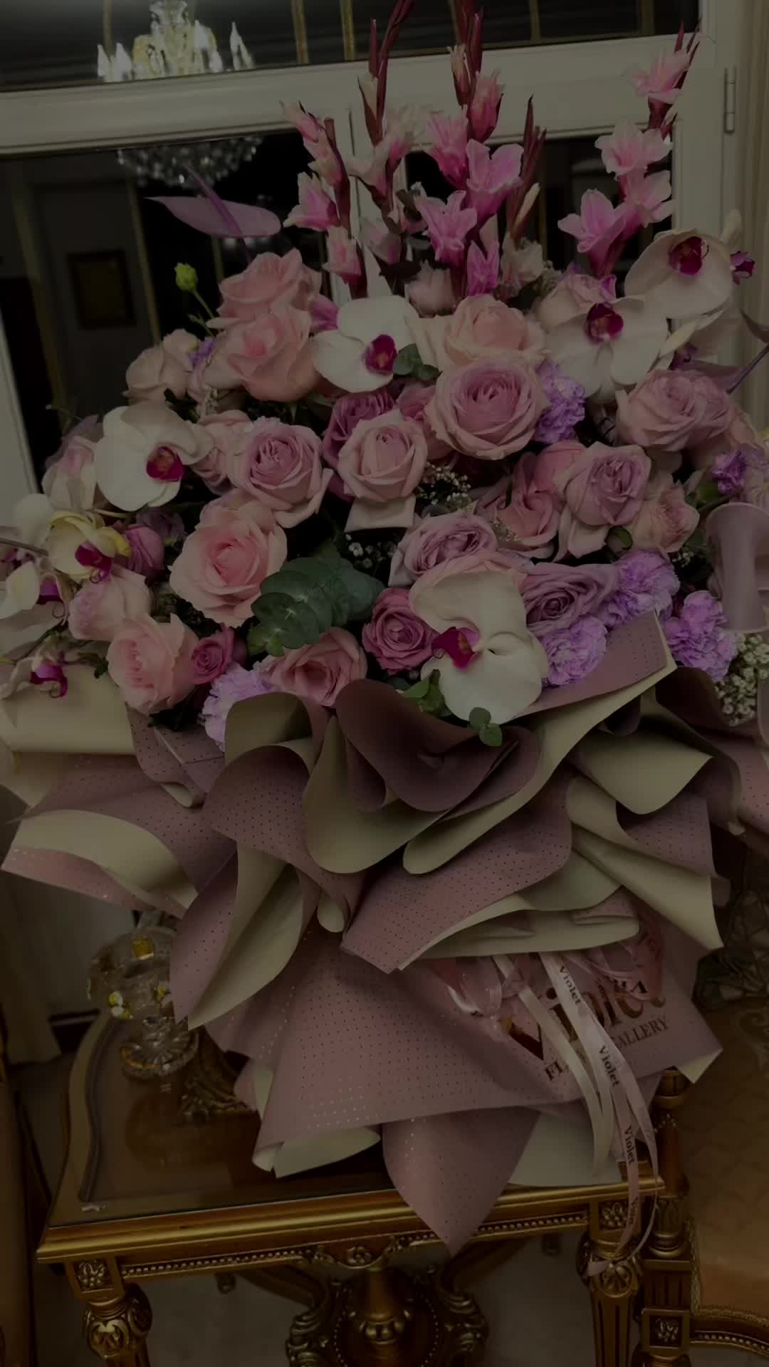 @Zizouuu