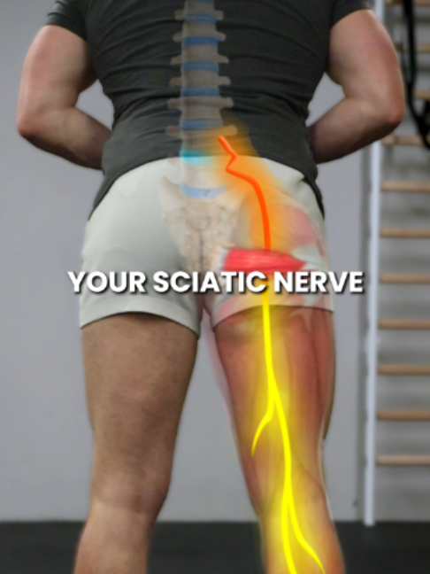 @Recover Pain