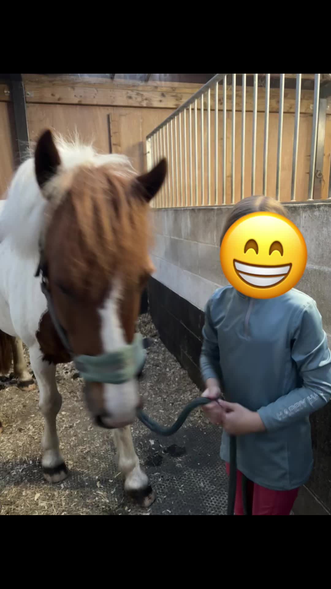 @LottiesHorseAdventures🦄🐴