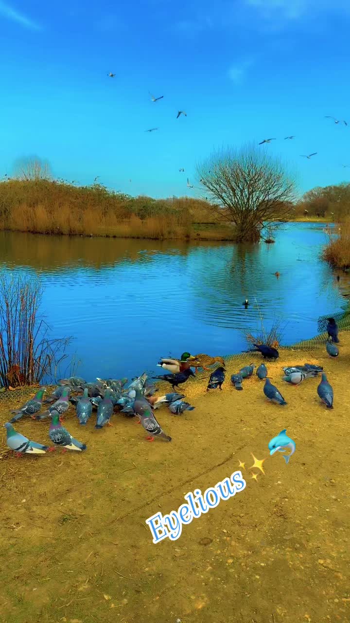 @𝓔𝔂𝓮𝓵𝓸𝓲𝓾𝓼✨🐬