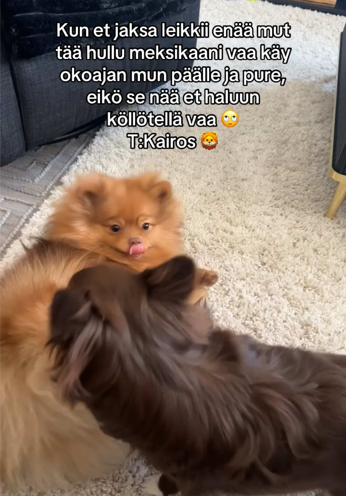@Vimpulano