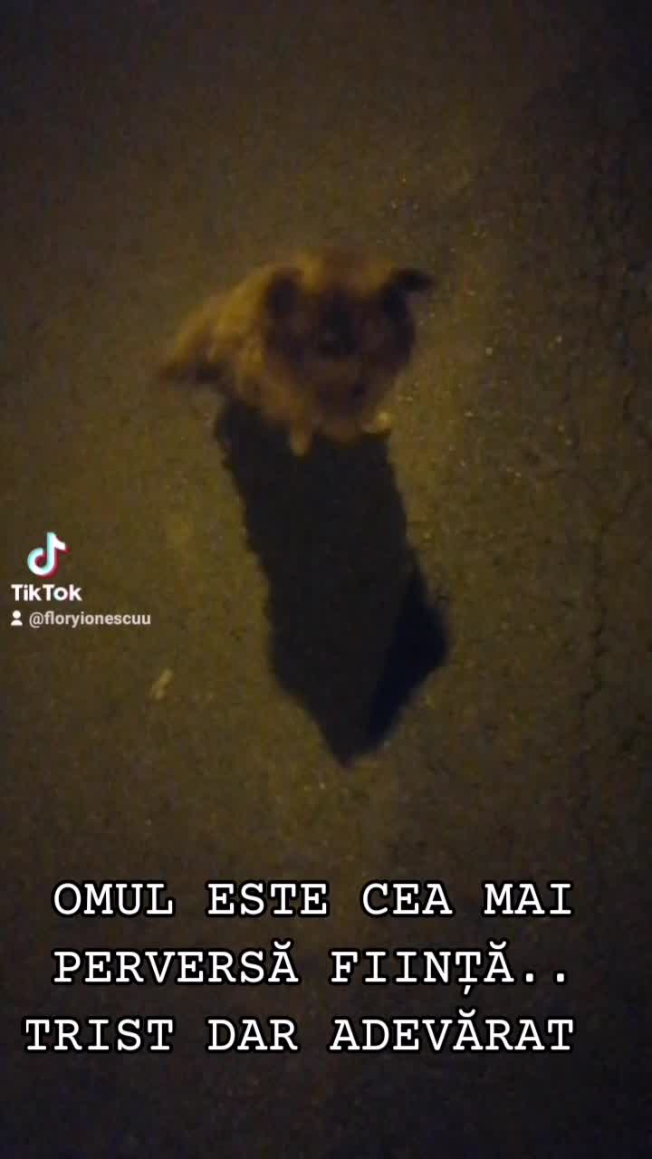 @Flory Ionescu