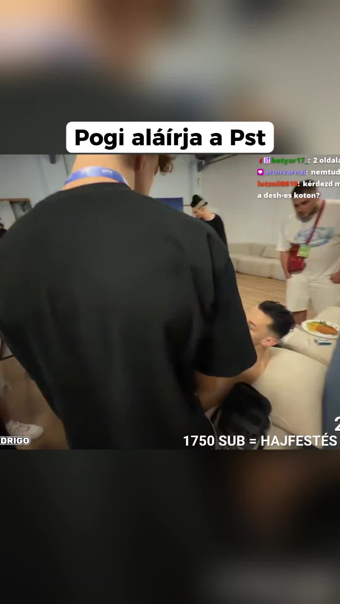 @77patrik