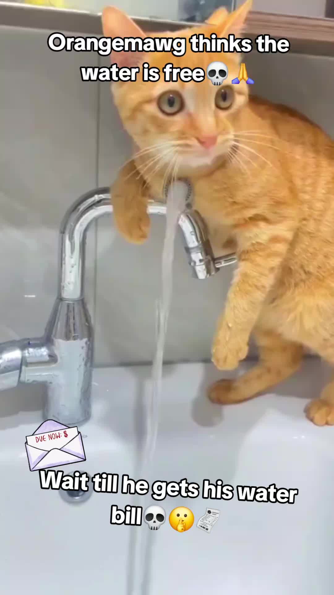 @donpollo2982