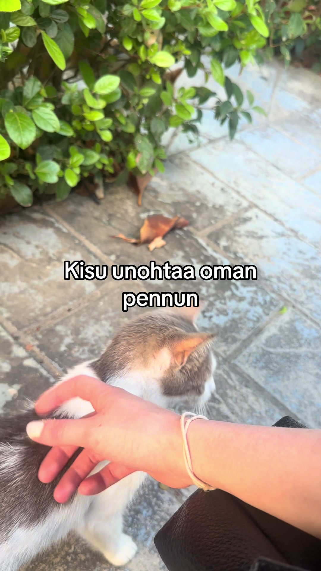 @Tiia Kallunki