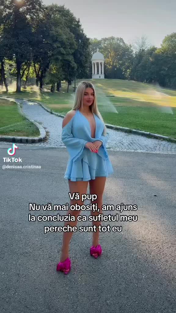 @mr.viorel1