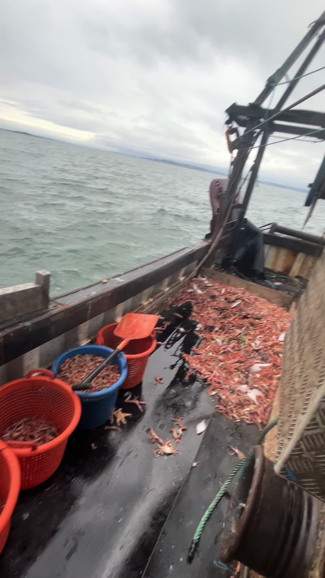 @trawlerman.Dave