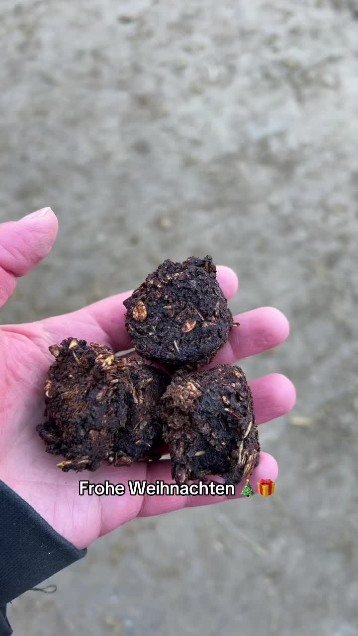 @hortensja_may_quincy