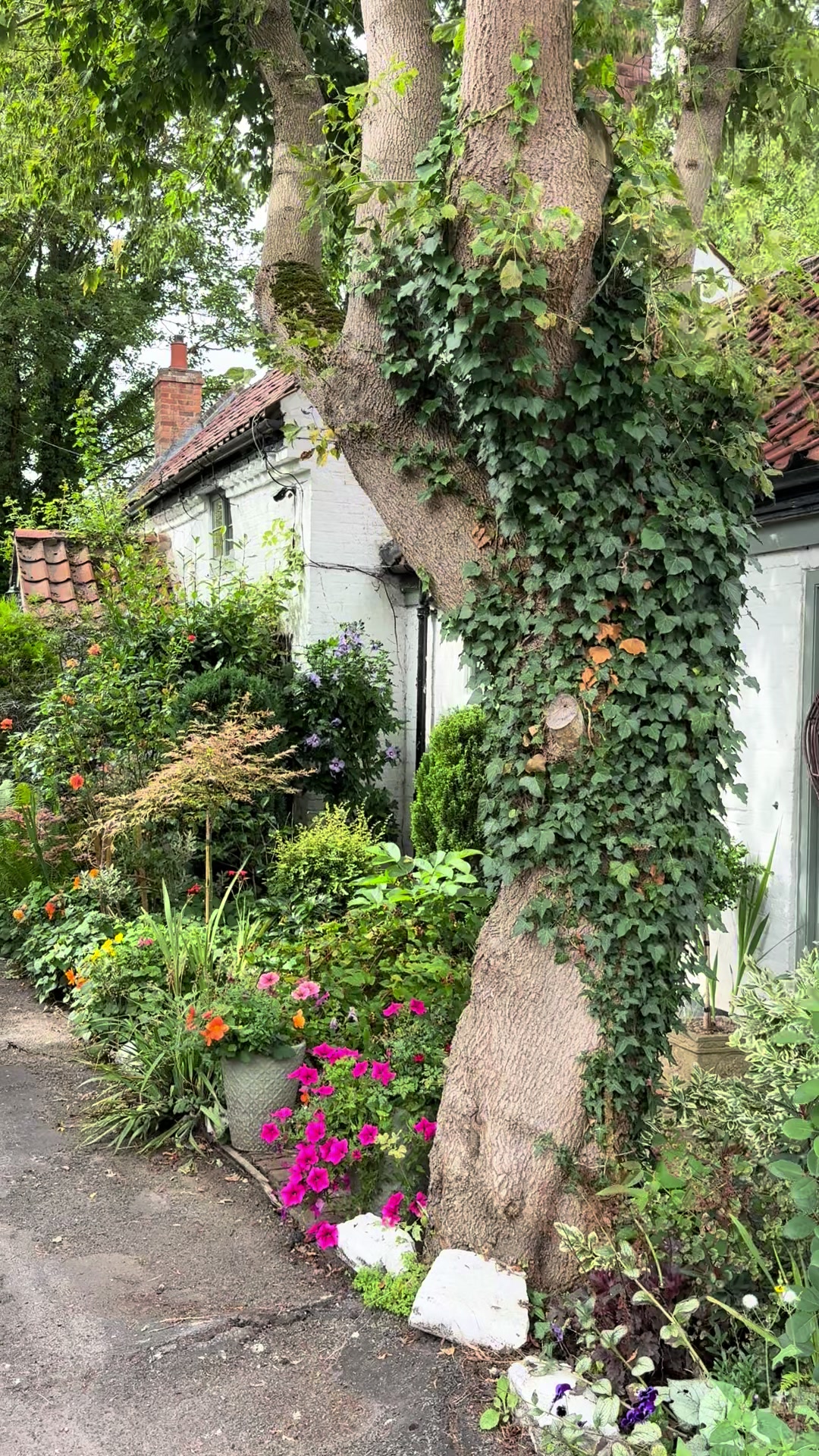 @Cottage Moor Witch