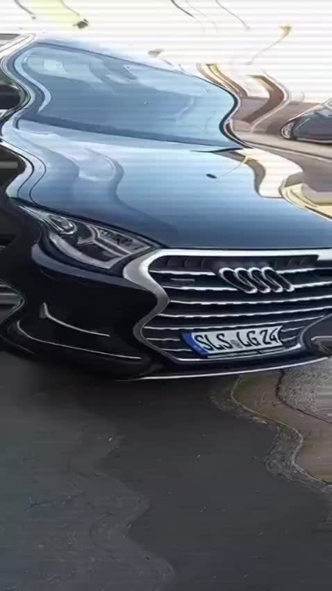 @castorina123588