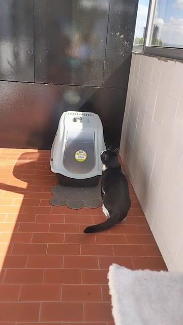 @Jp Álvarez🇨🇴 🇵🇹 🇪🇦 🇹🇷