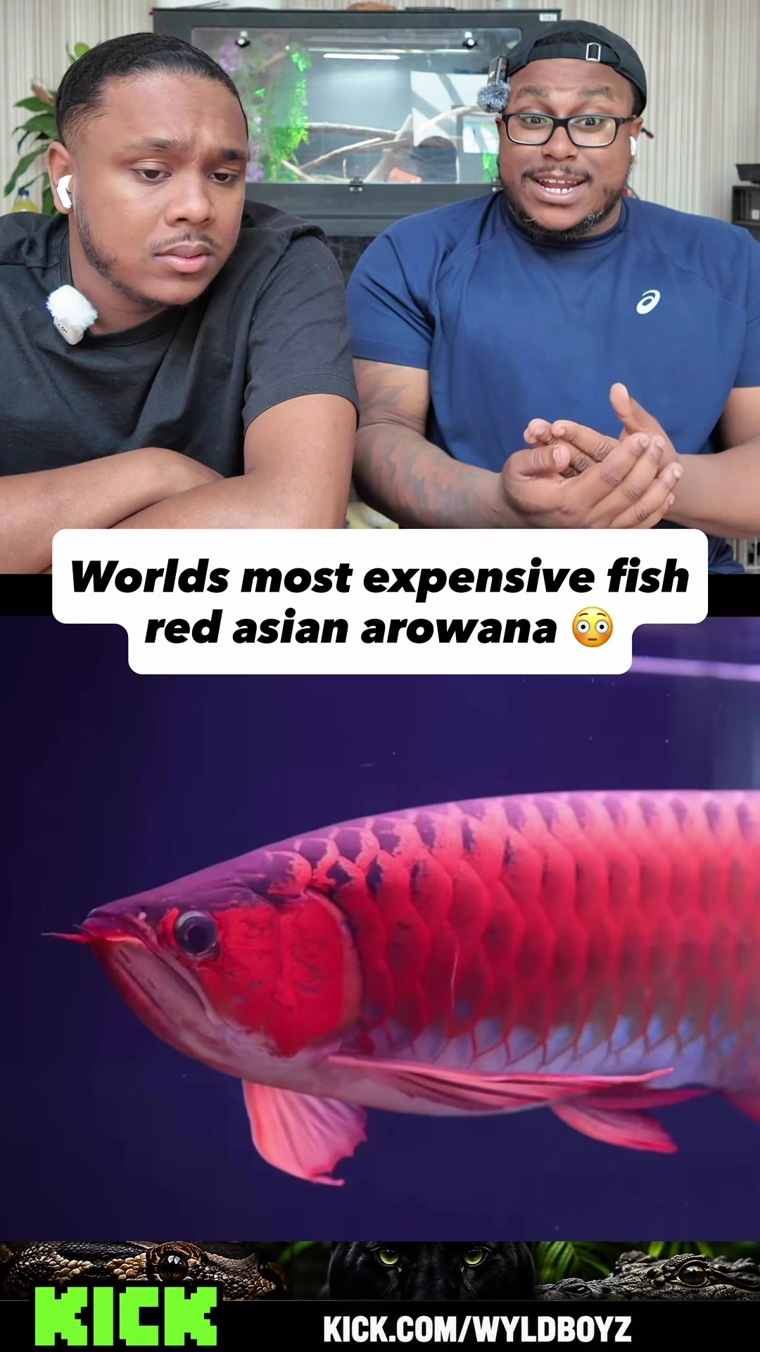 @Paw Point