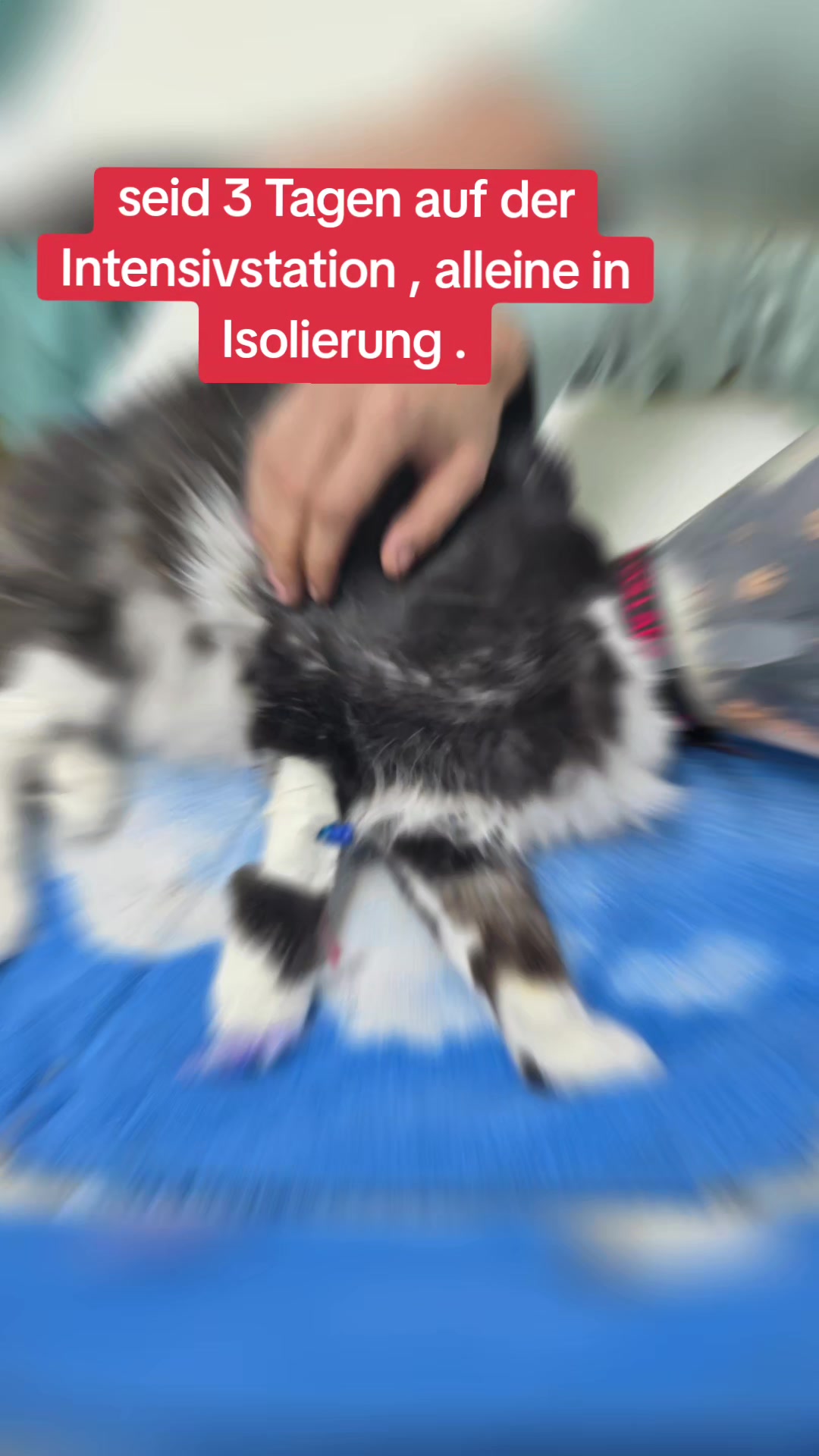 @T/E