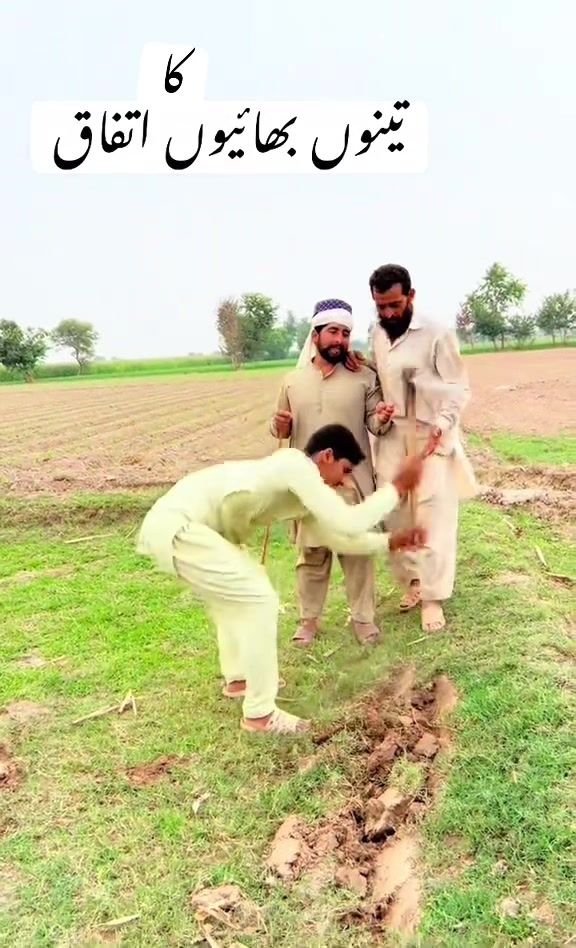 @پینڈو بوائز 378