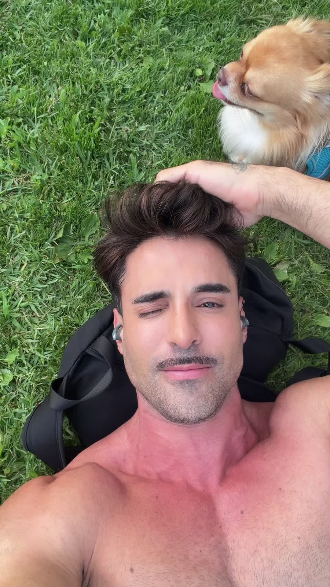 @Thiago_Lazzarato