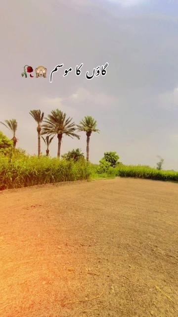 @🖇️ASAD🥀Balouch 🥹5671💫