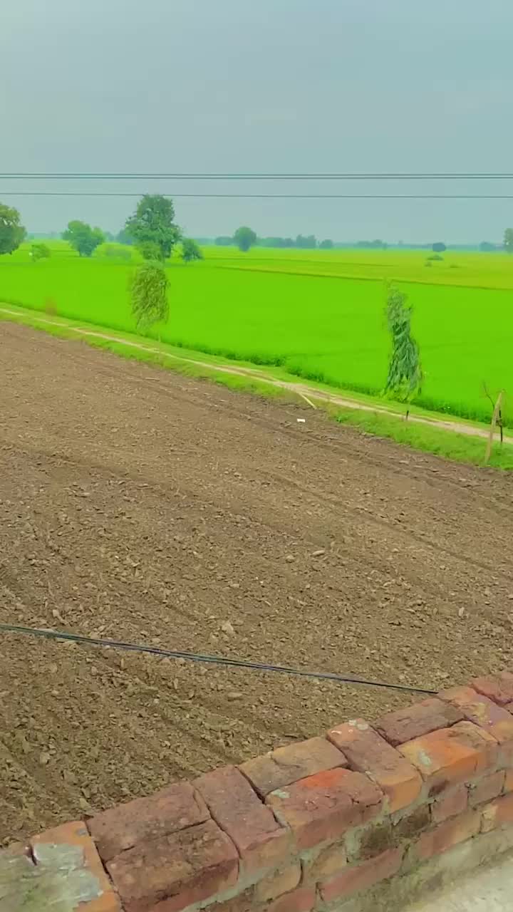 @abubakercheema74