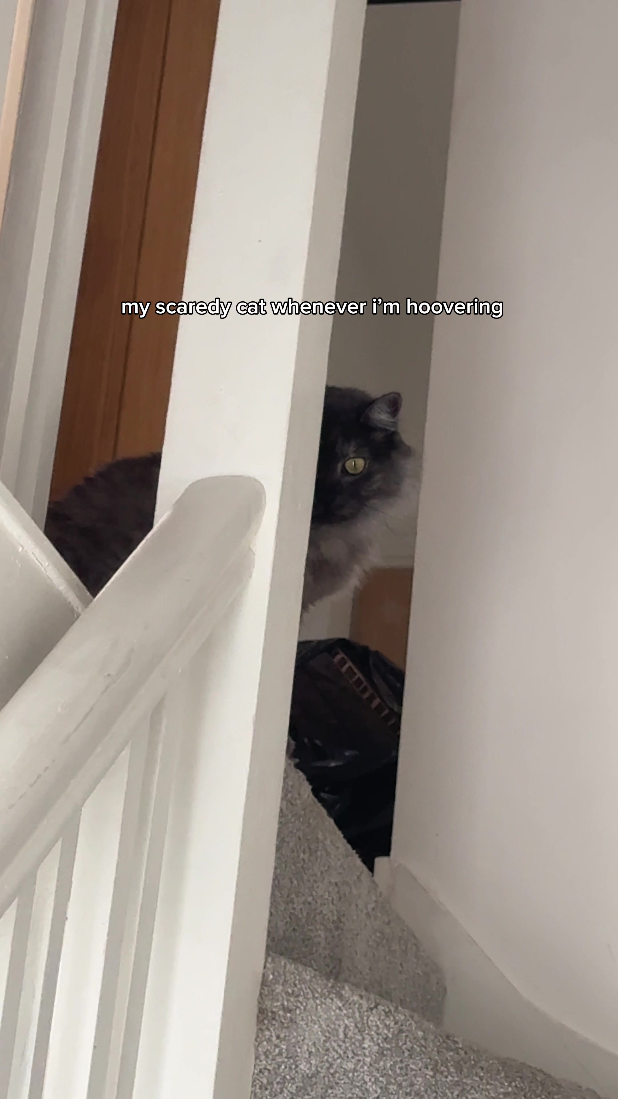 @fizzy
