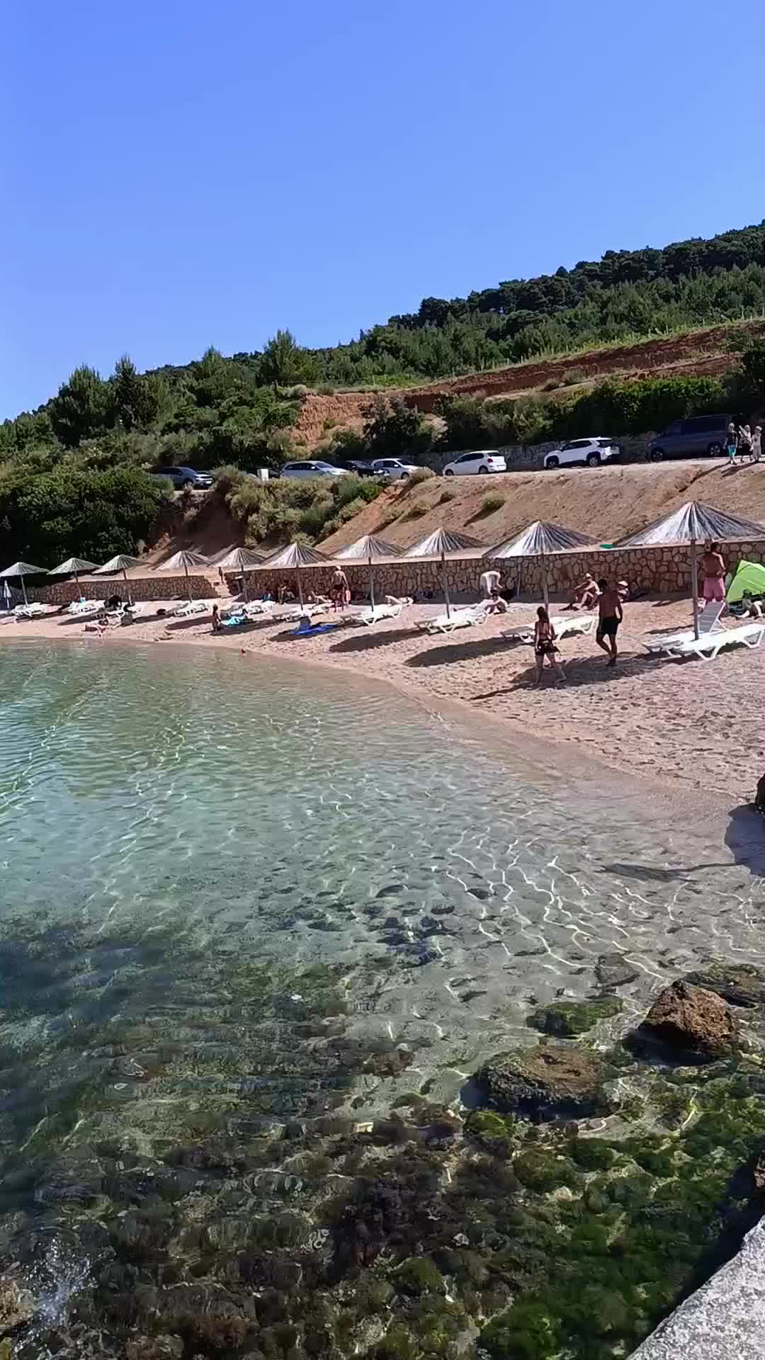 @Marina Grus
