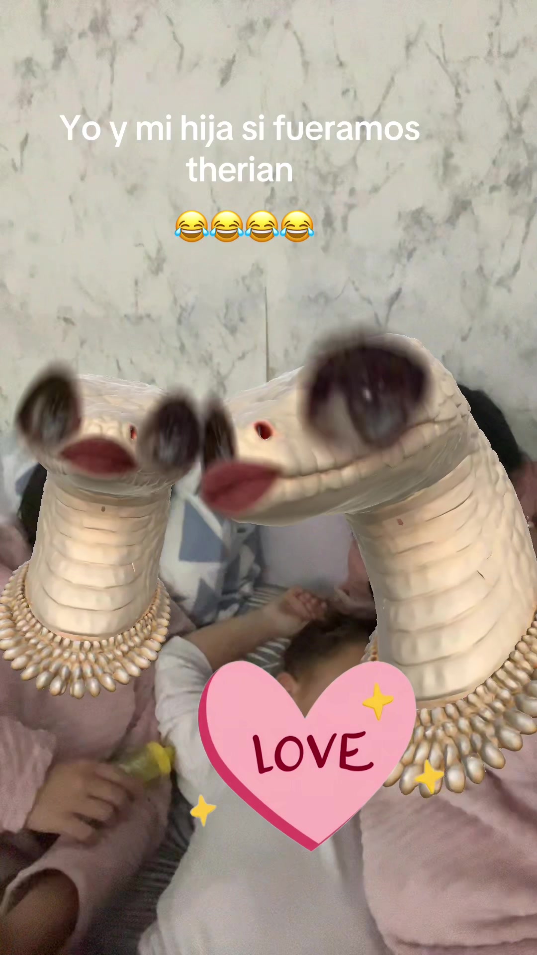 @Rocio Gibaja