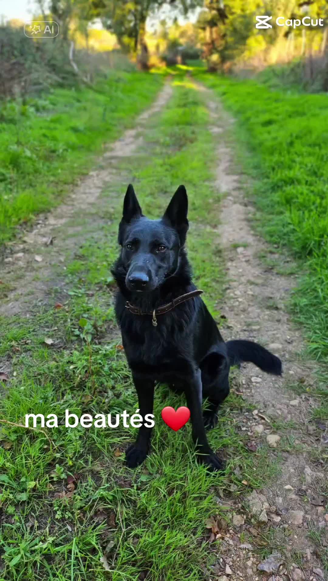 @Lady_blue_36