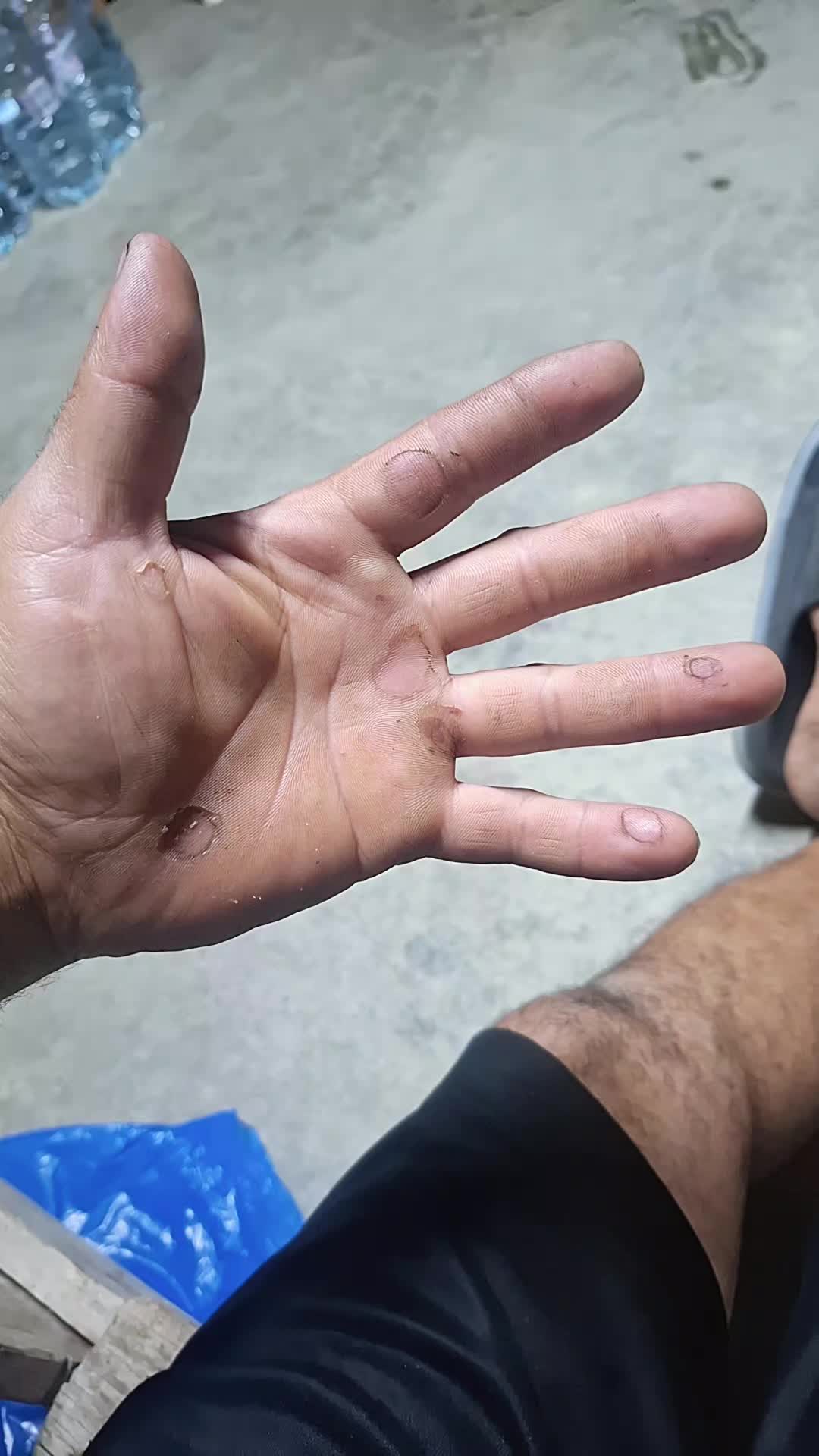 @vasidarie