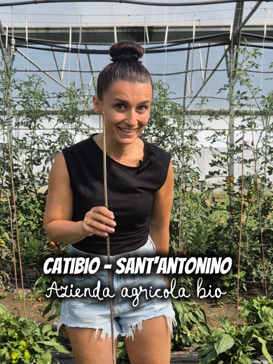 @chiara_berti83