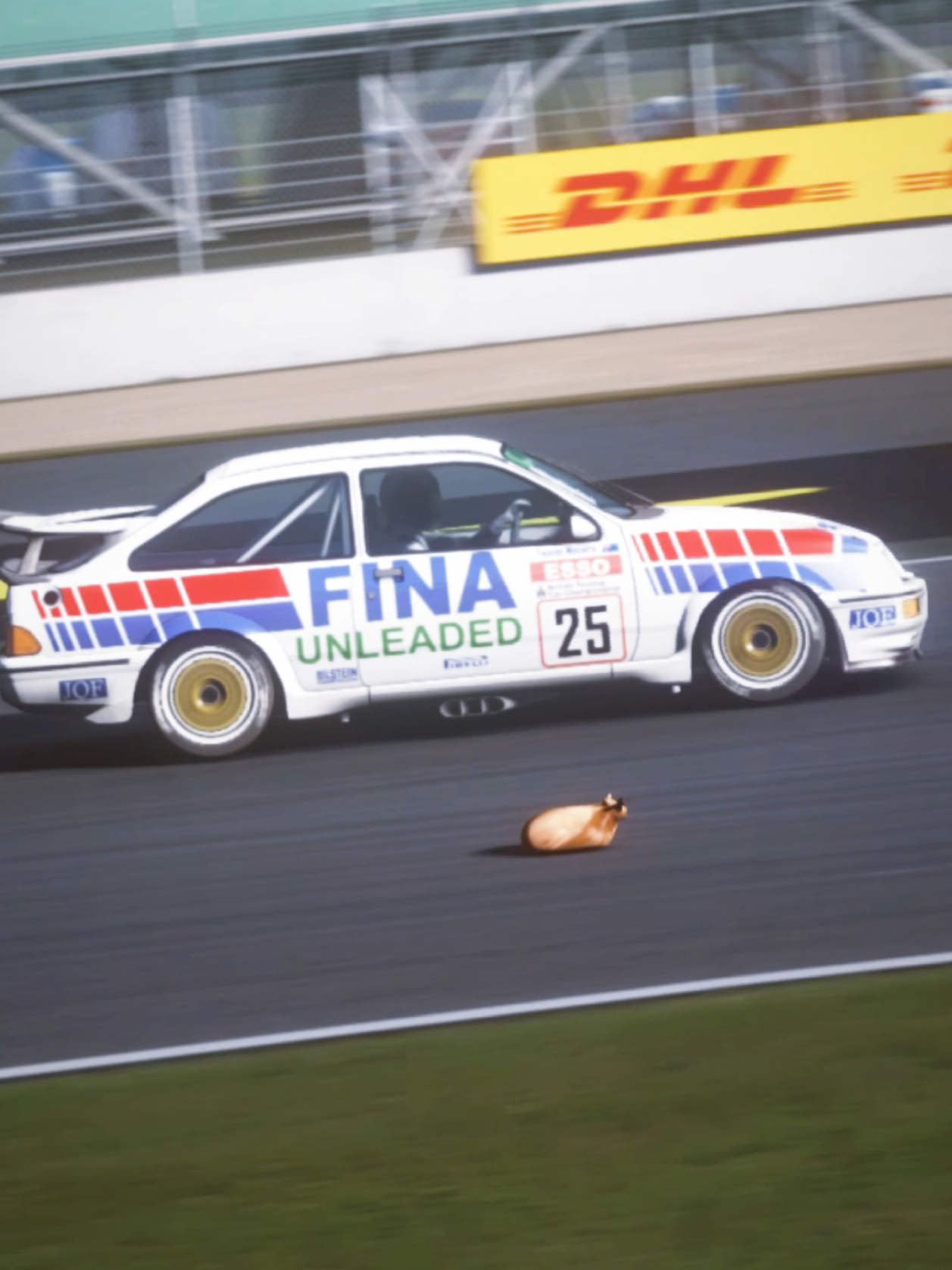 @Pablo the Race Cat