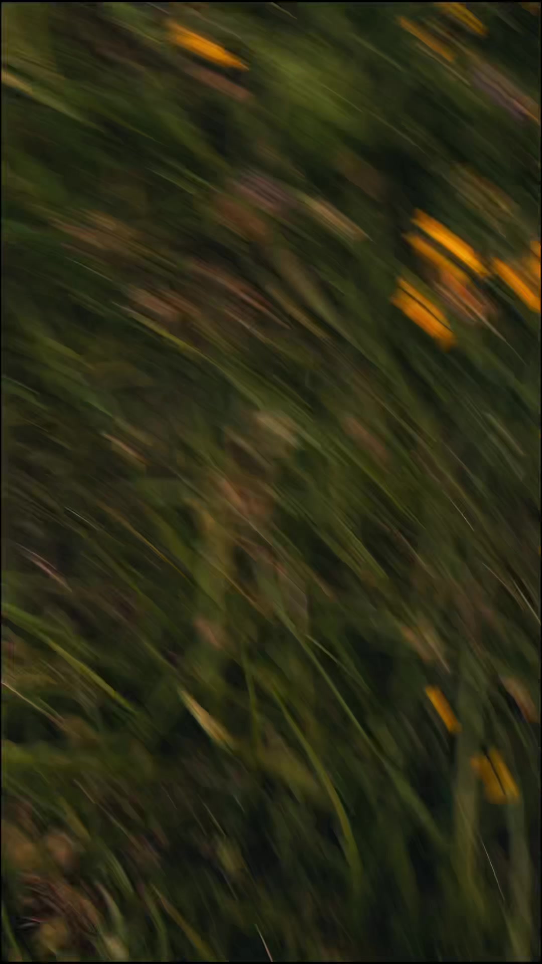 @T
