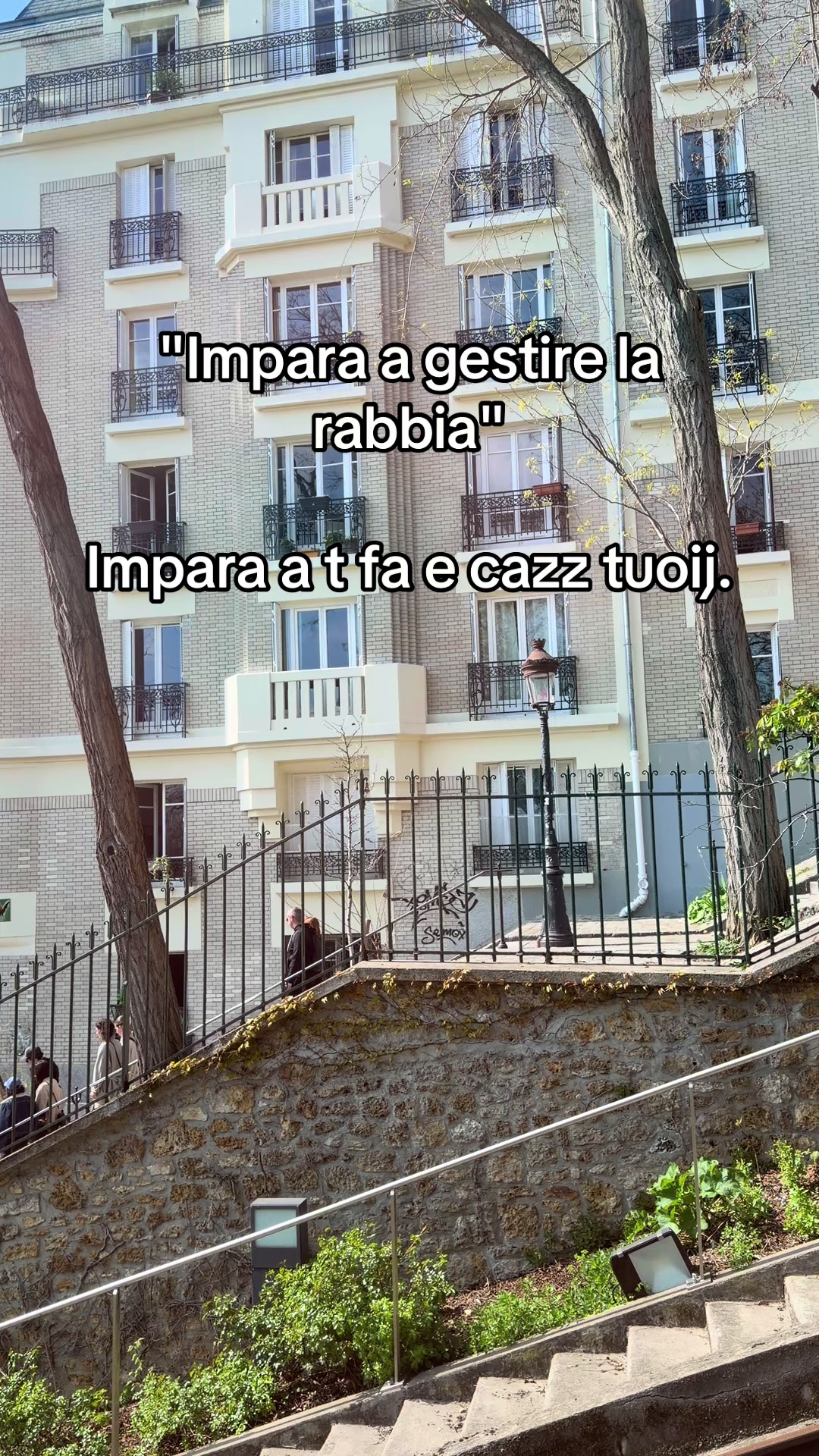 @MECTOMINI