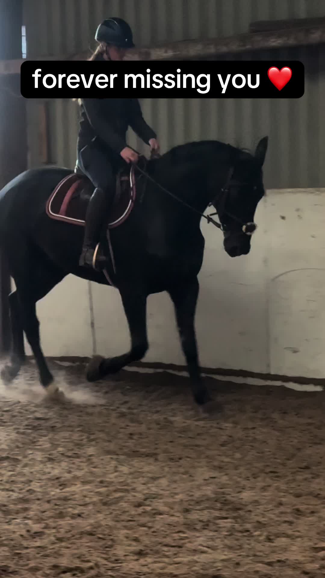 @Lilly & Bruno 🐴