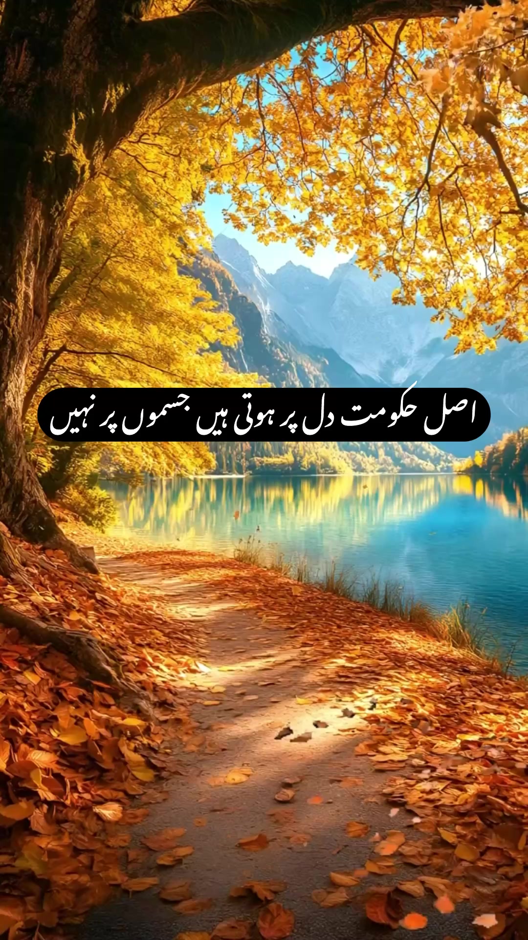 @Kaif Oyun