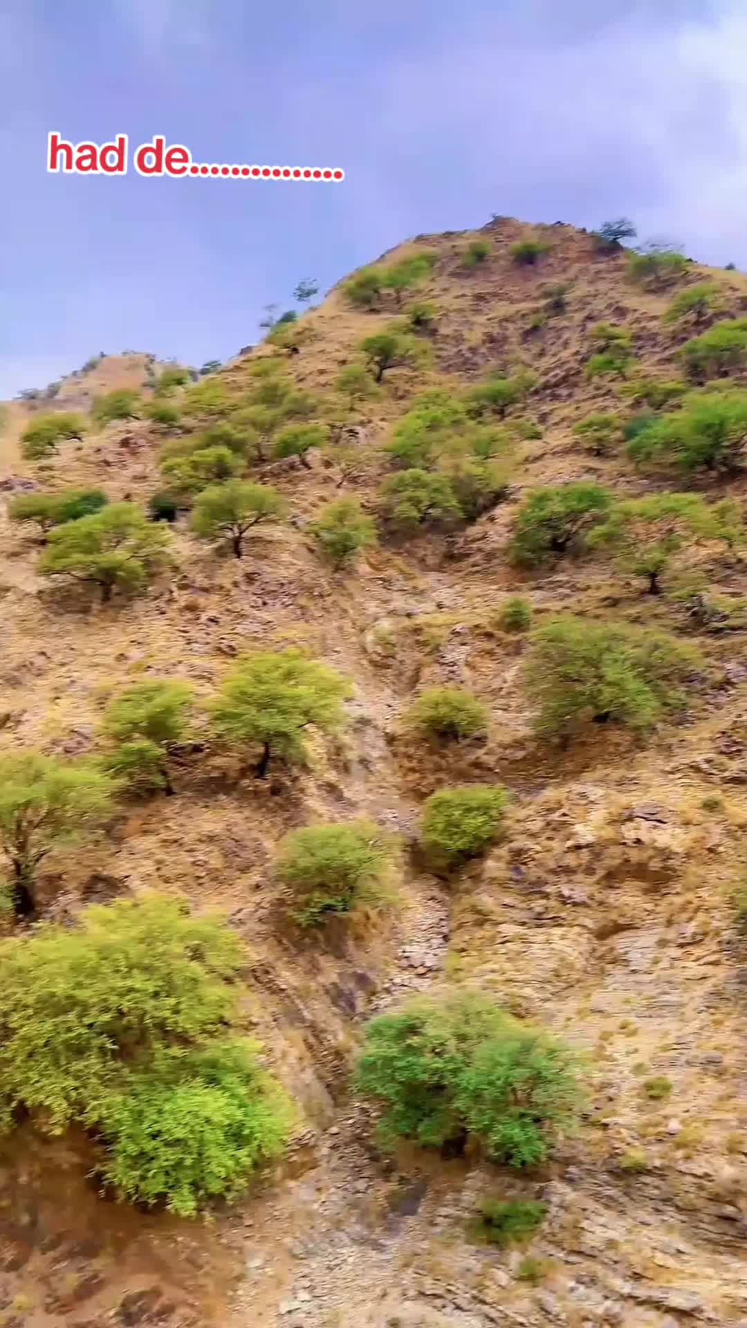 @𝐐𝐚𝐥𝐚𝐦 𝓐𝓻𝓽 𝓢𝓽𝓾𝓭𝓲𝓸