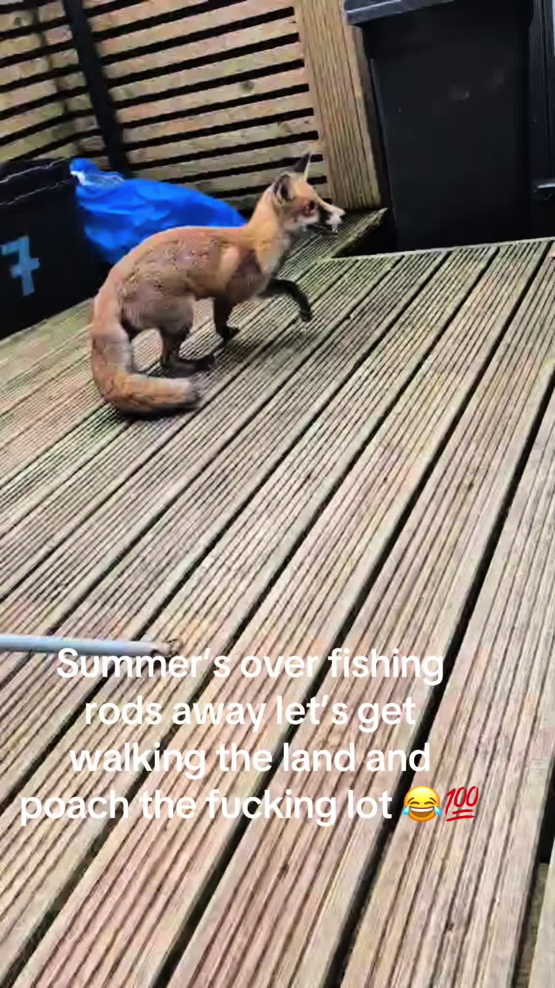 @phatz1990