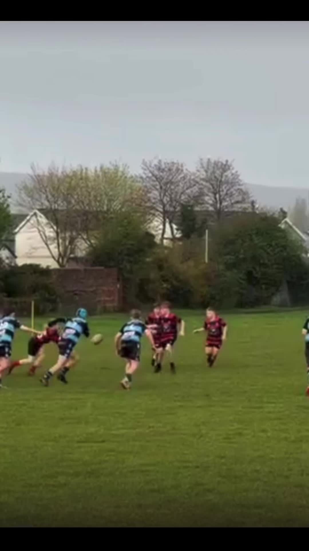 @young_rugby