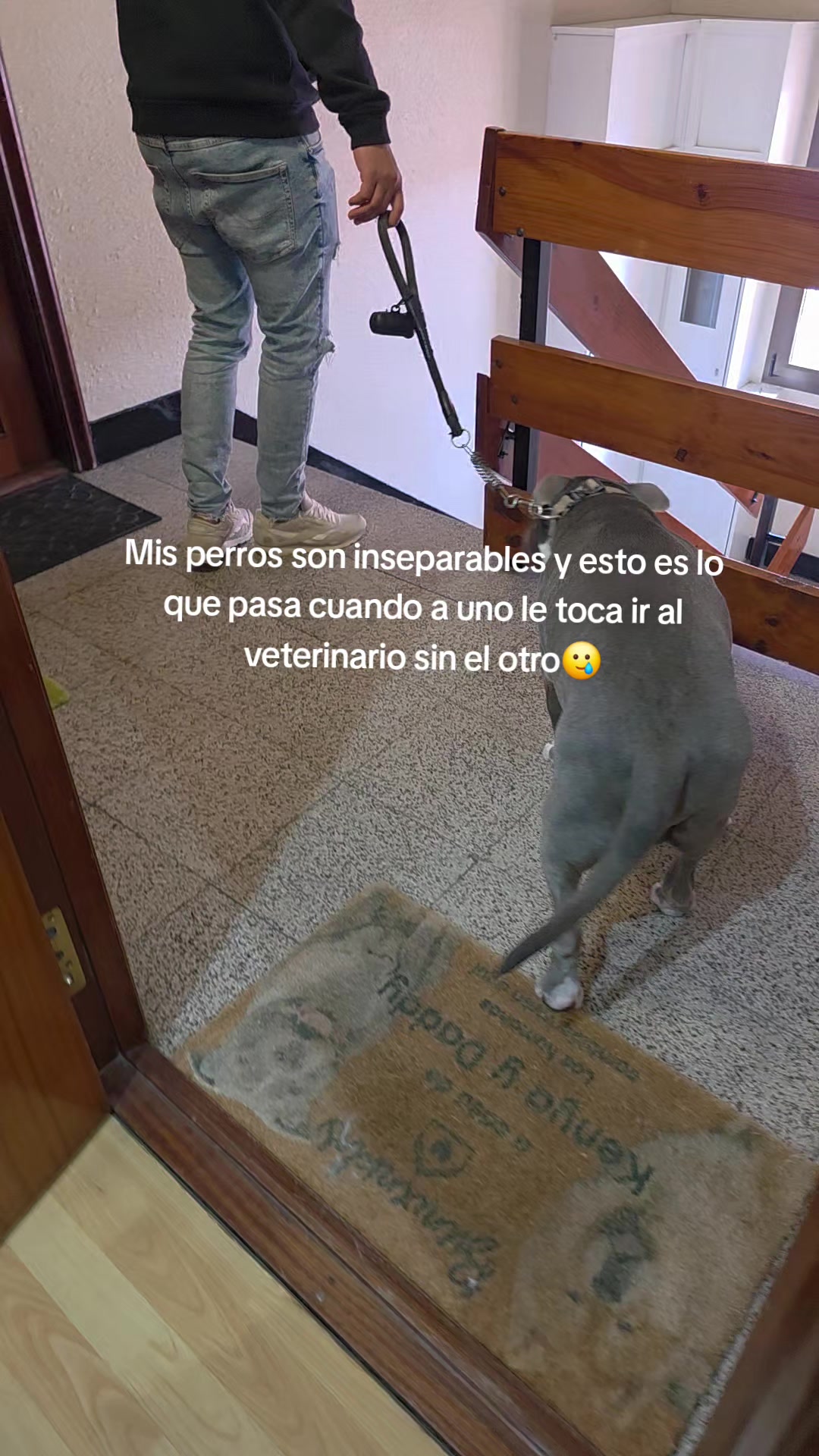 @Kenya y Daddy🐶