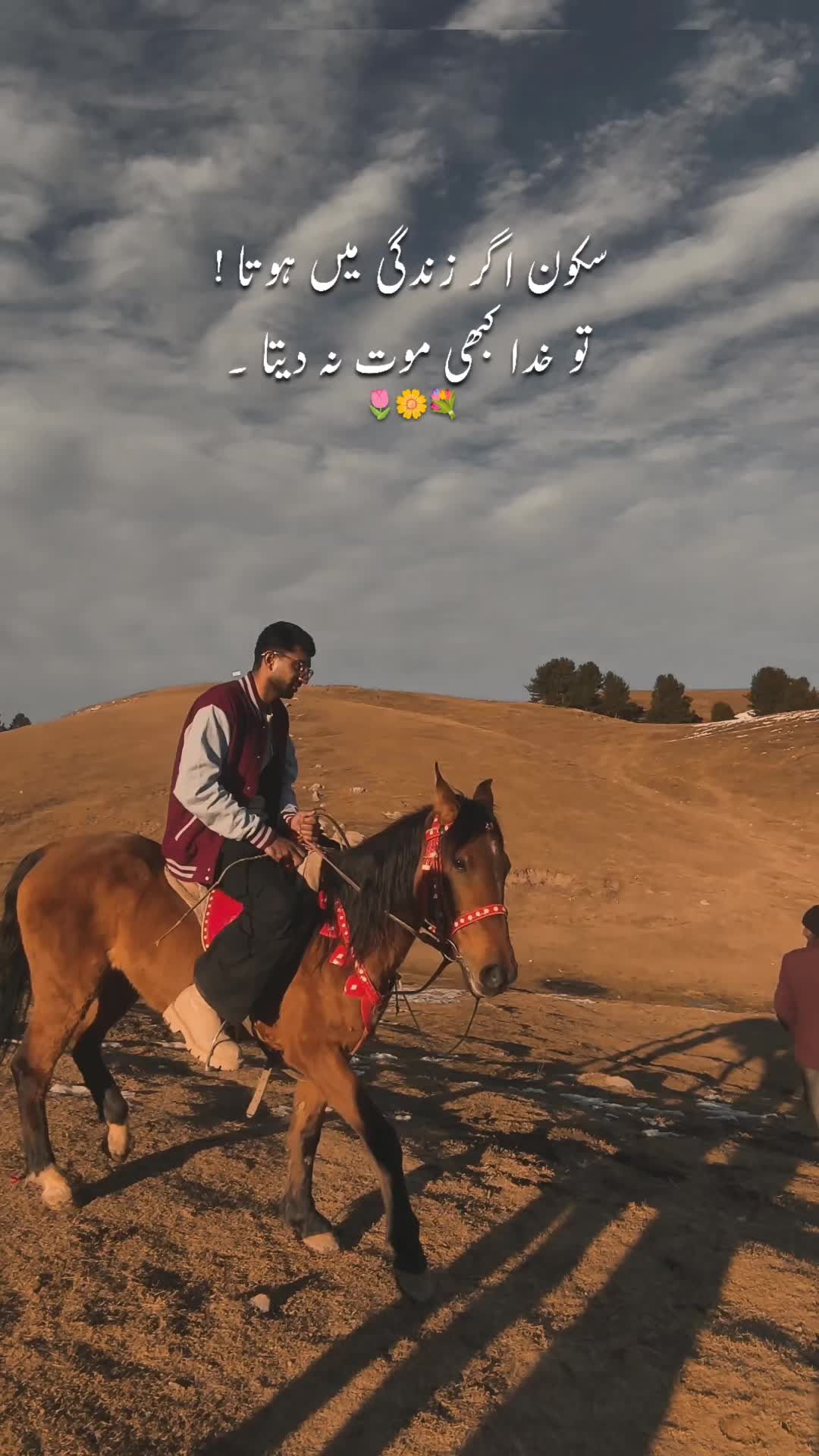 @AM MOHEED 🏔️