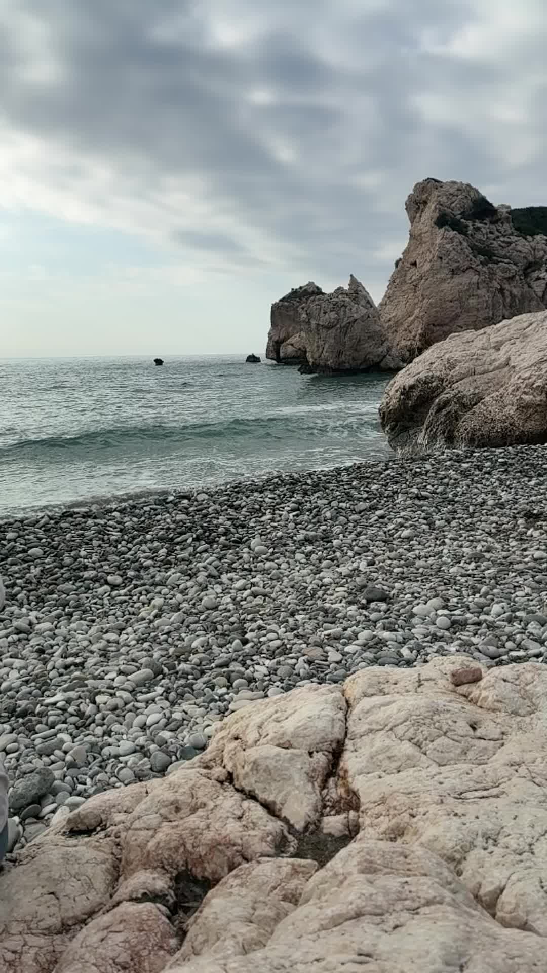 @Live1