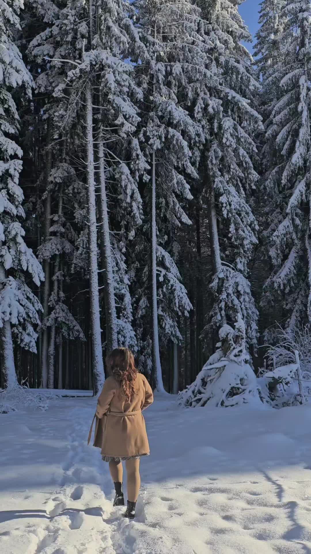 @Tatamy95