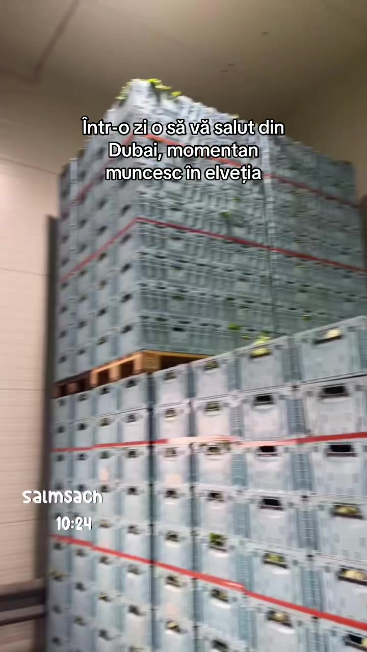 @𝐋.𝐌.𝐕