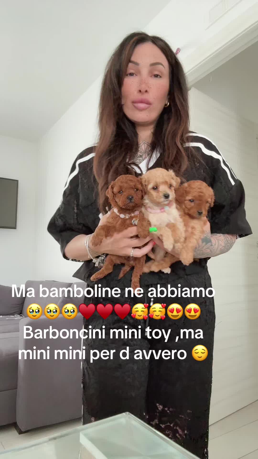 @cuccioli meravigliosi