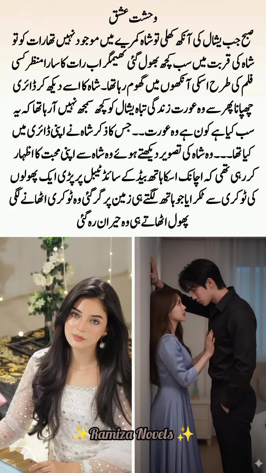 @Ramiza Novels